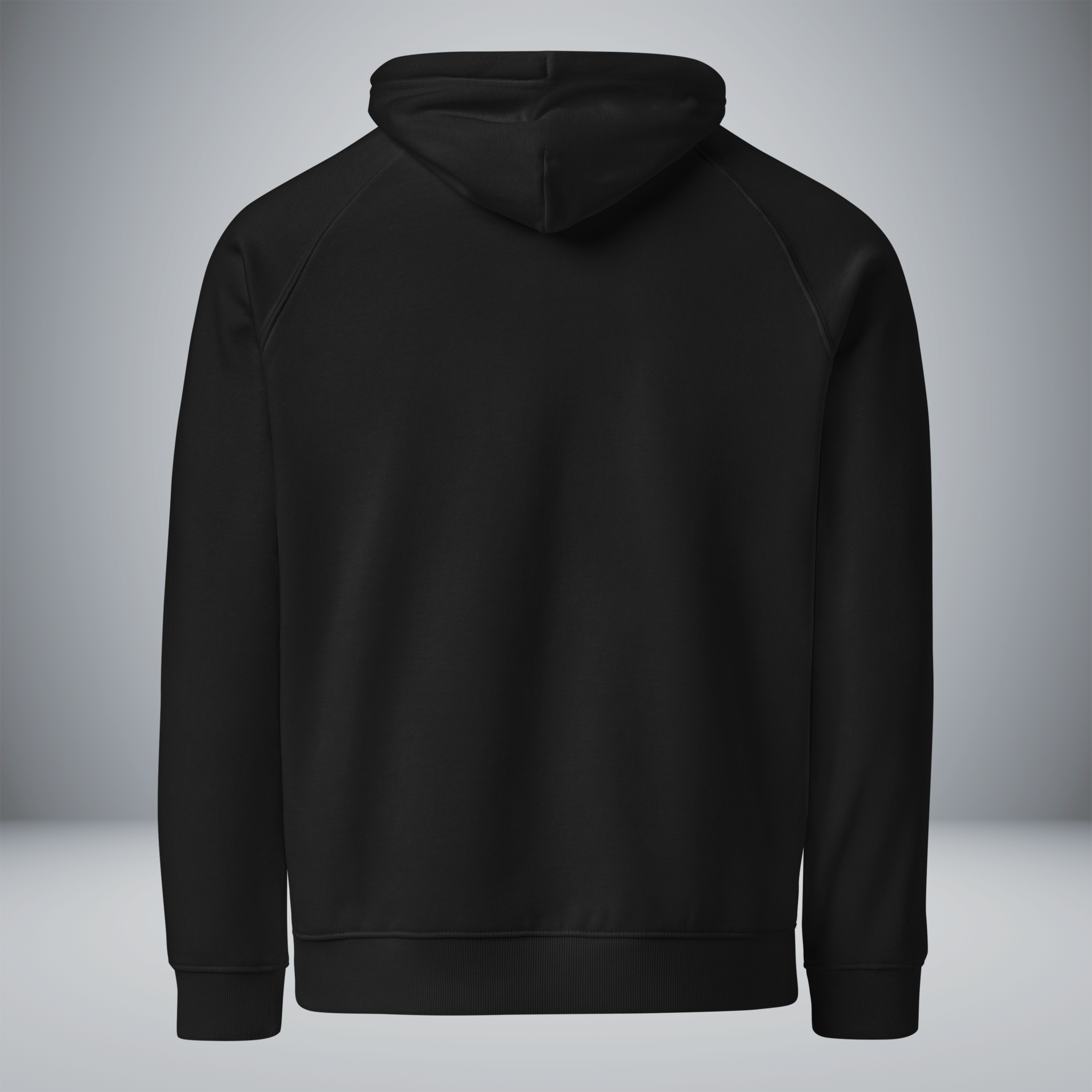 Unisex Eco Raglan Hoodie