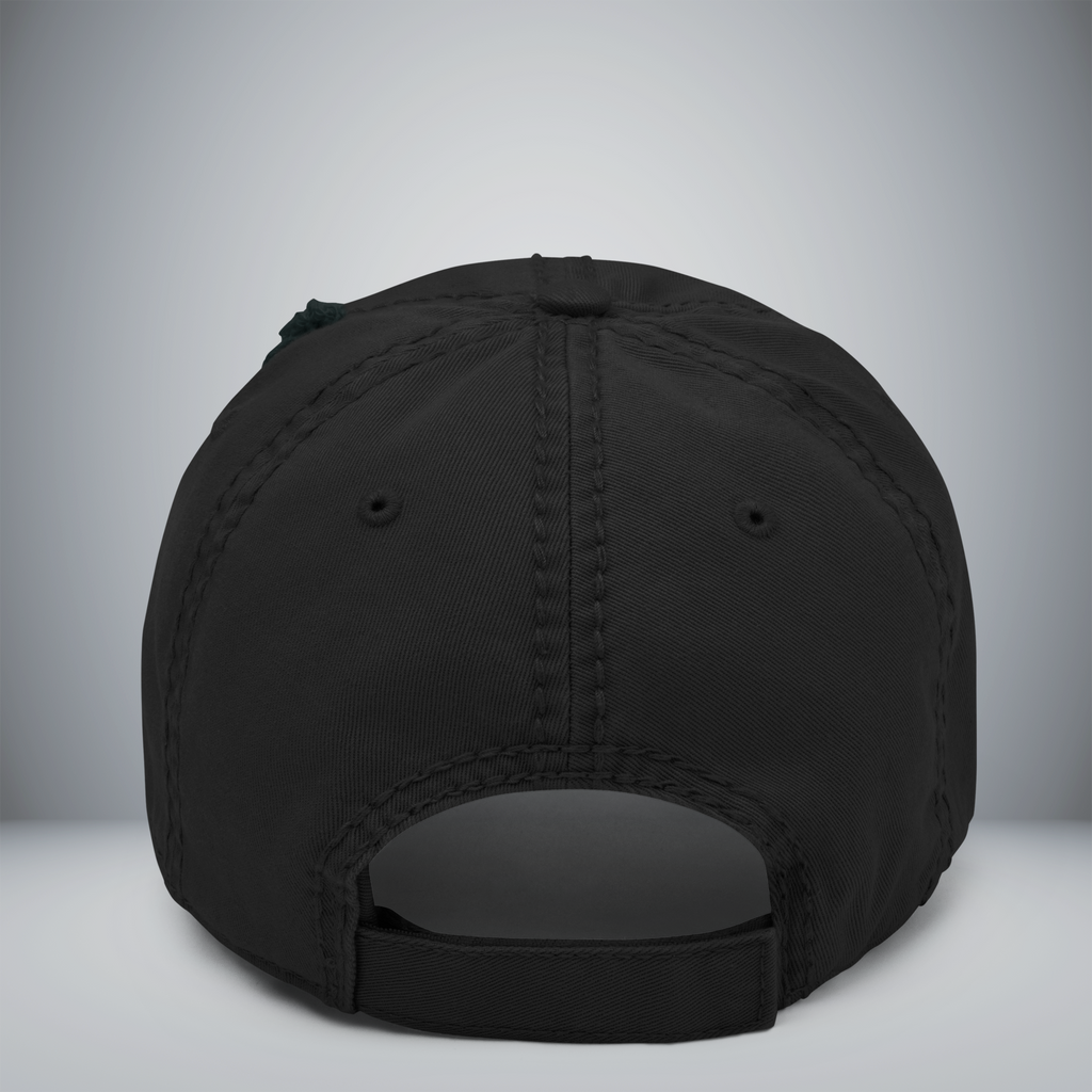Distressed Dad Hat