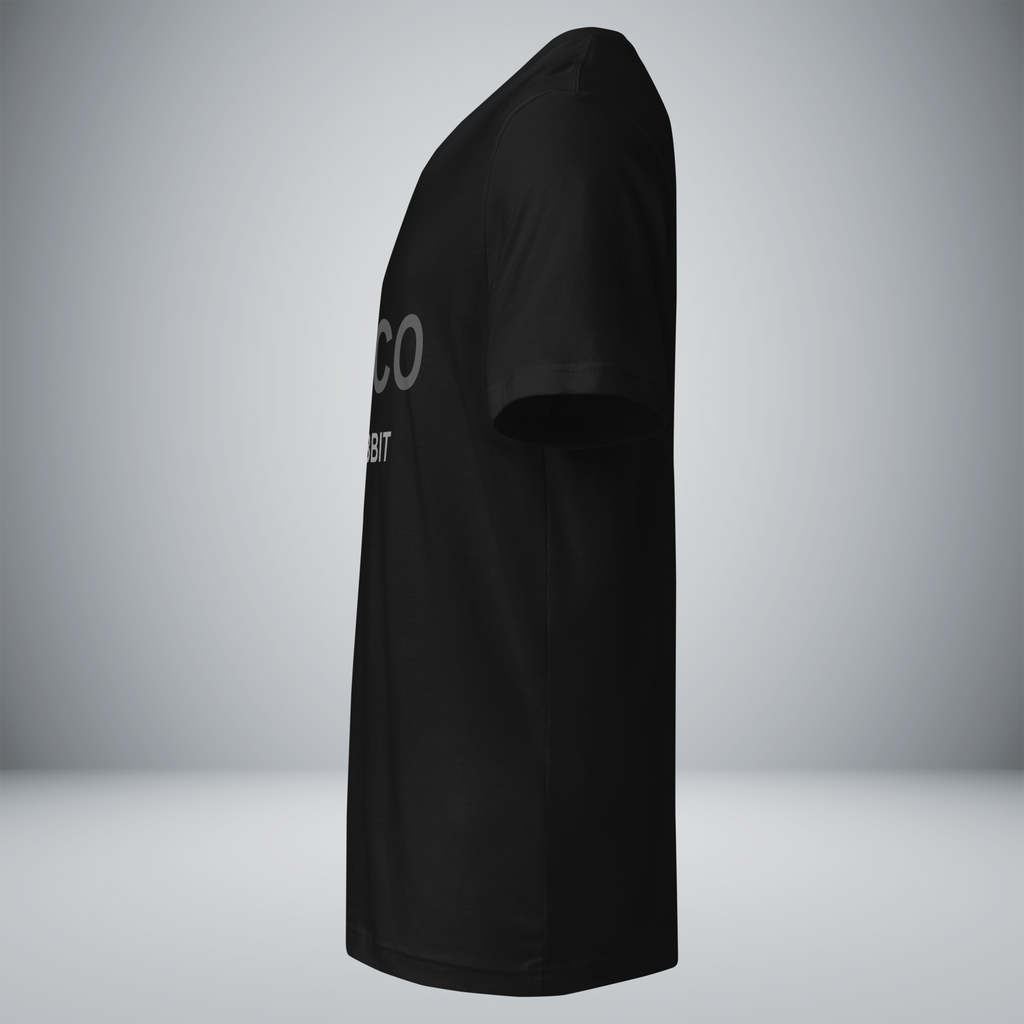 Unisex Short Sleeve V-Neck T-Shirt