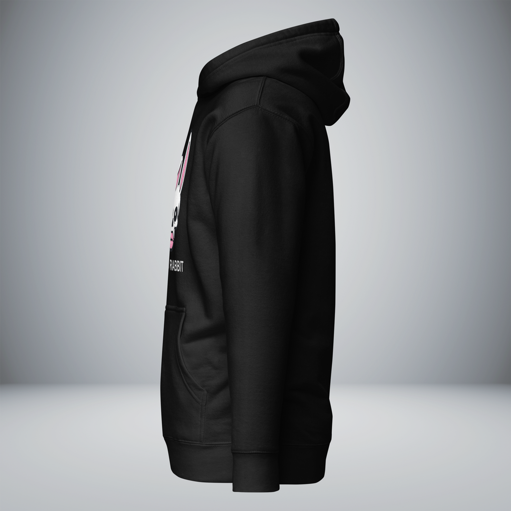 Unisex Premium Pullover Hoodie
