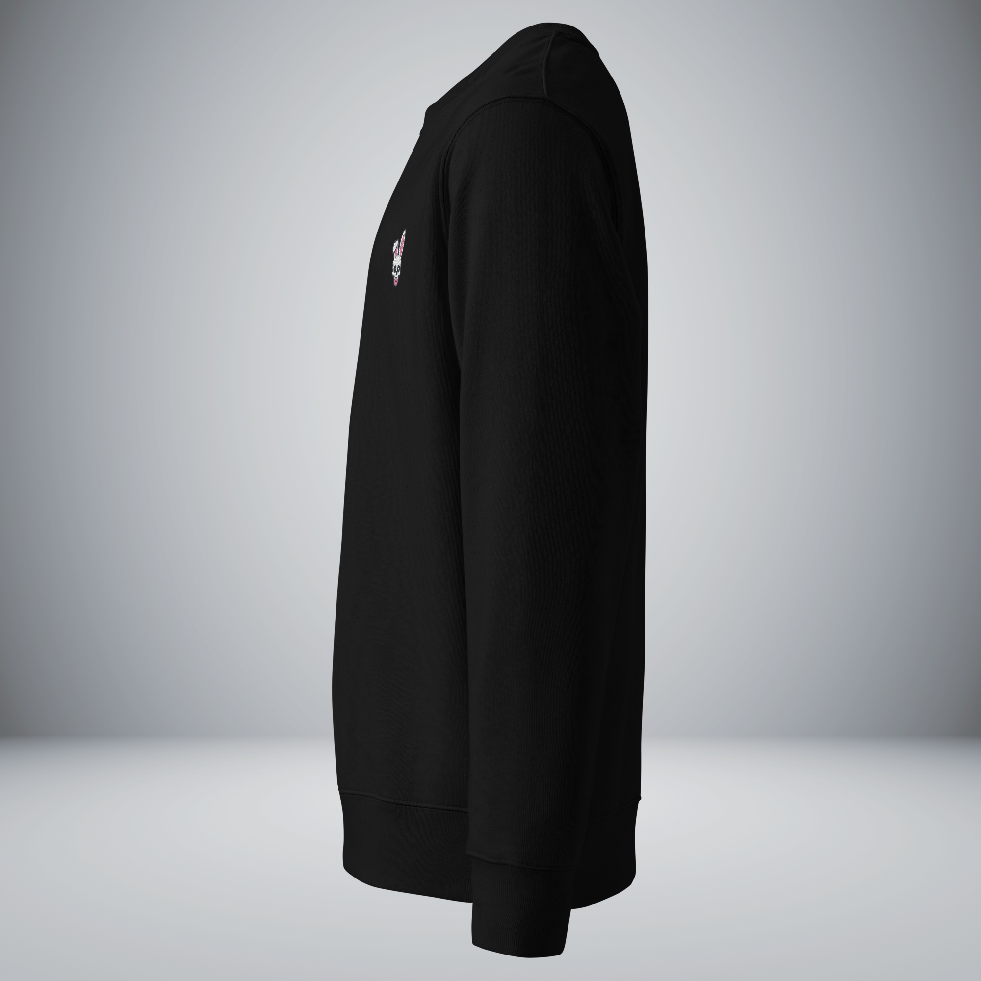 Unisex Eco Sweatshirt