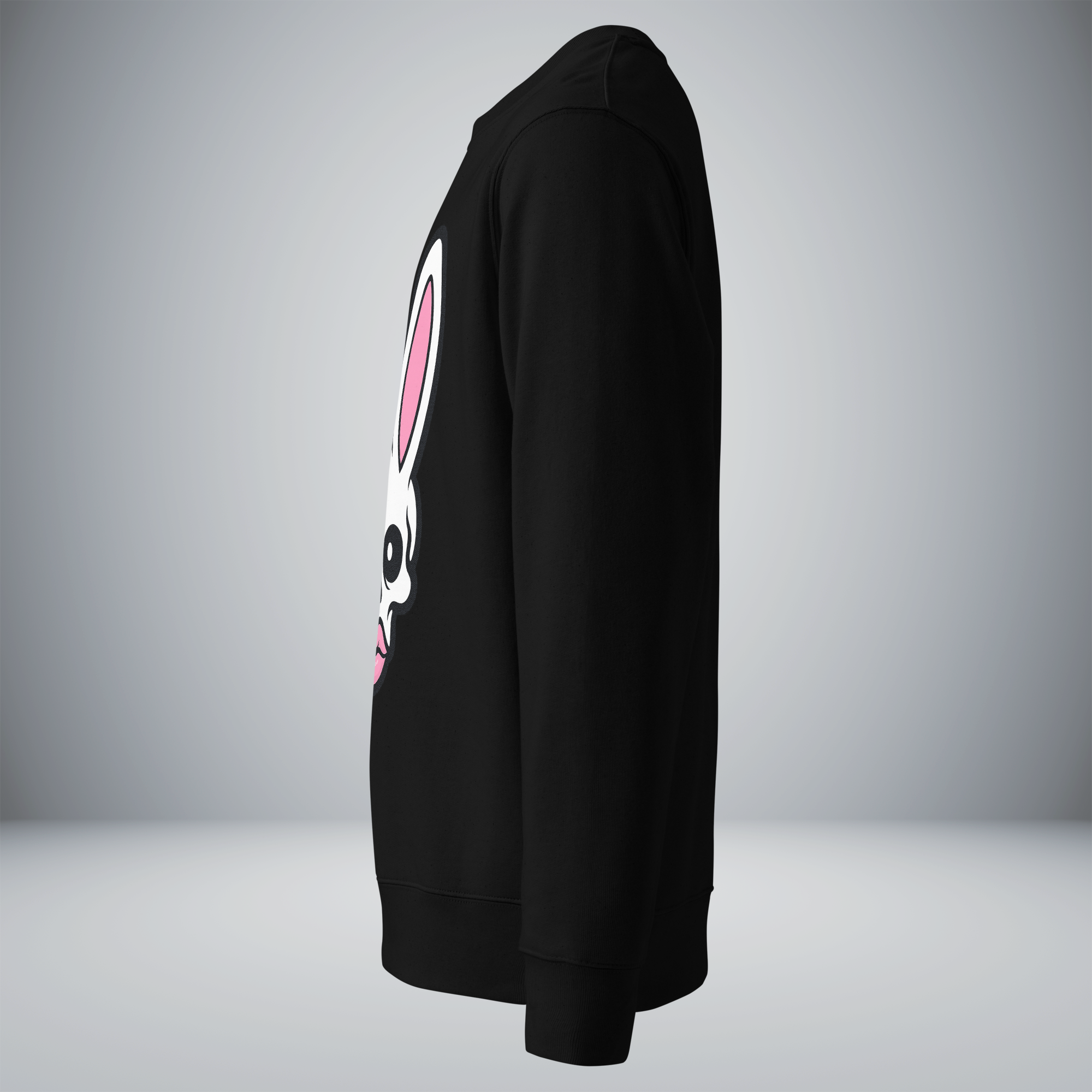 Unisex Eco Sweatshirt
