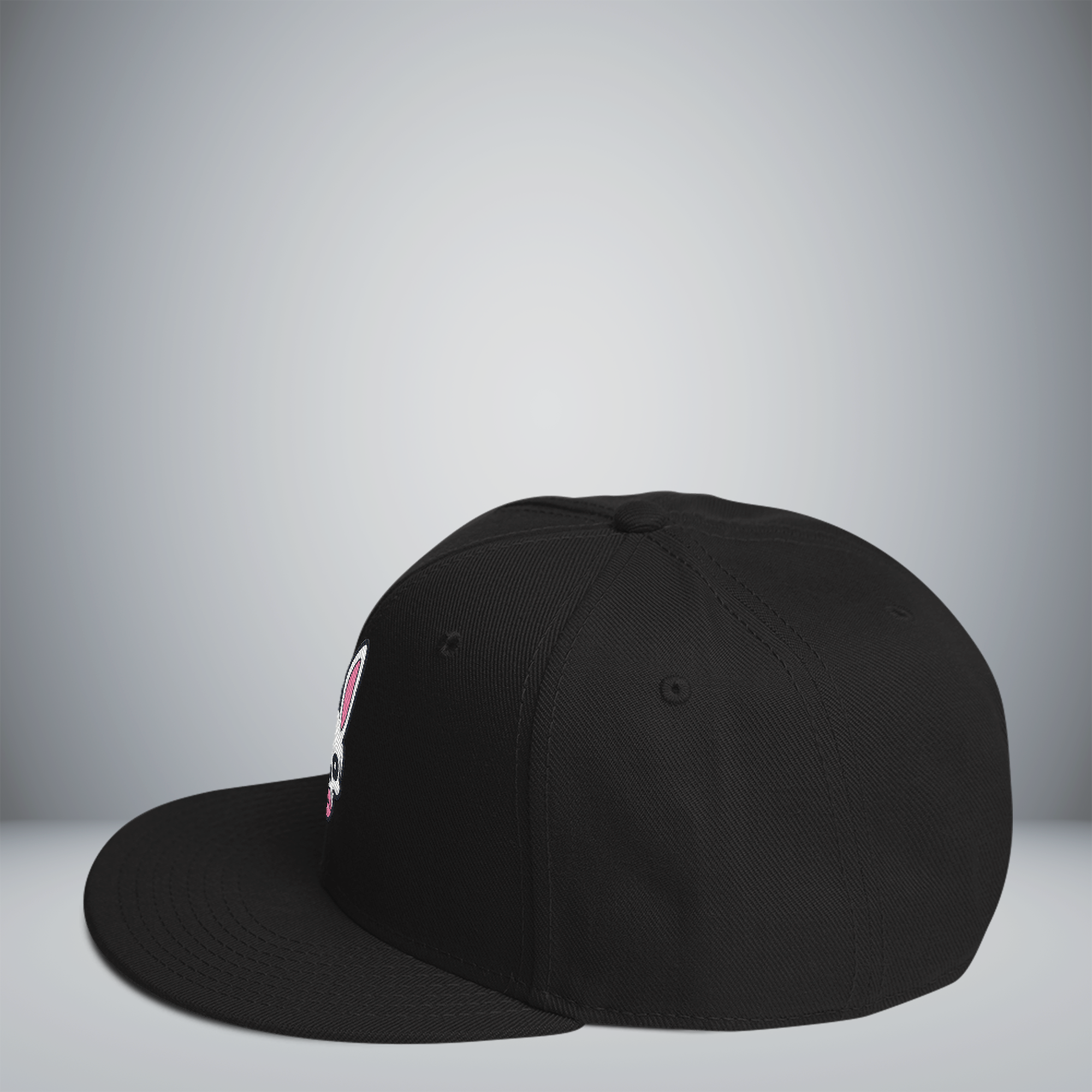 Snapback Hat