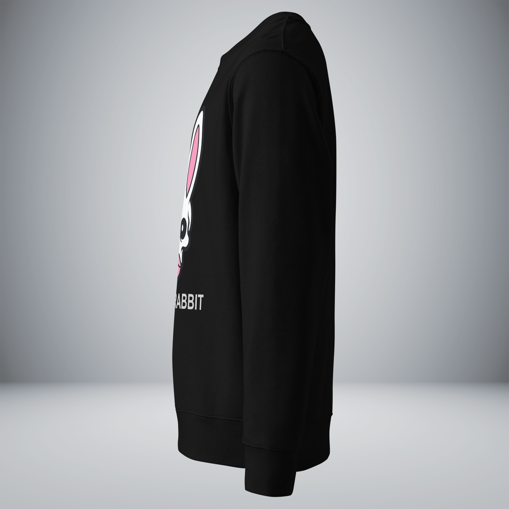 Unisex Eco Sweatshirt