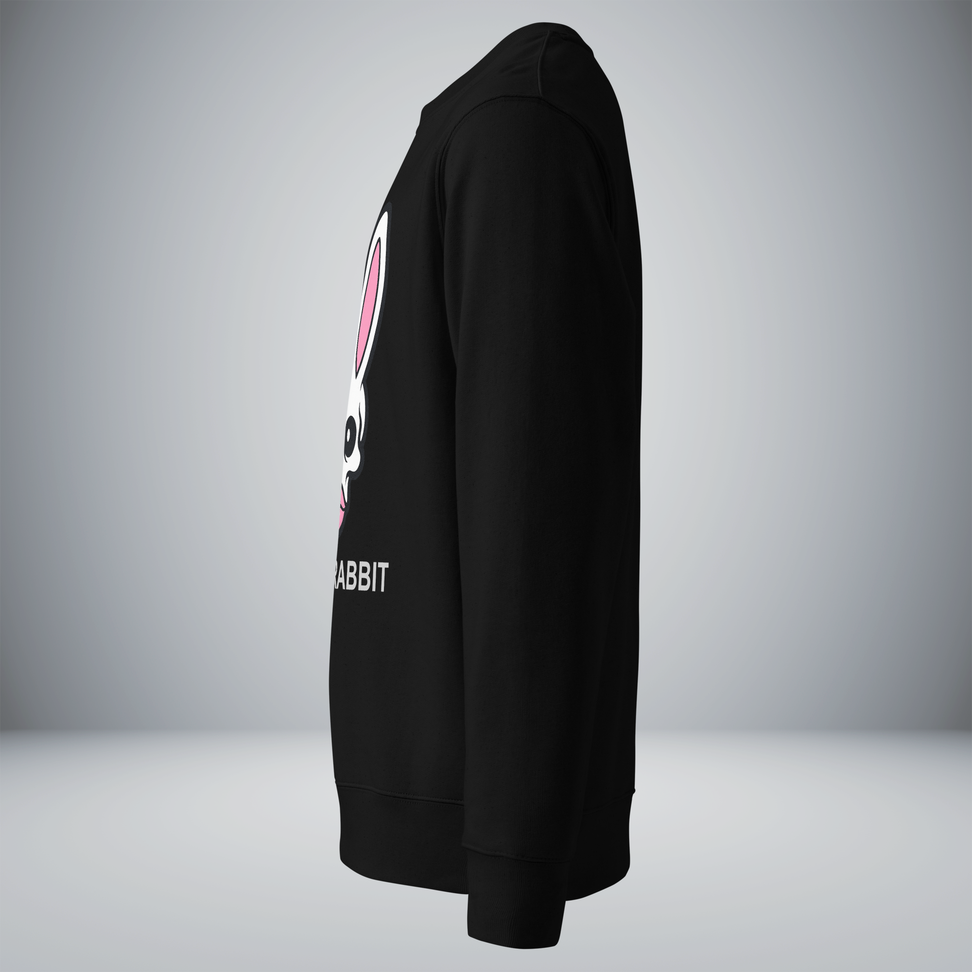 Unisex Eco Sweatshirt