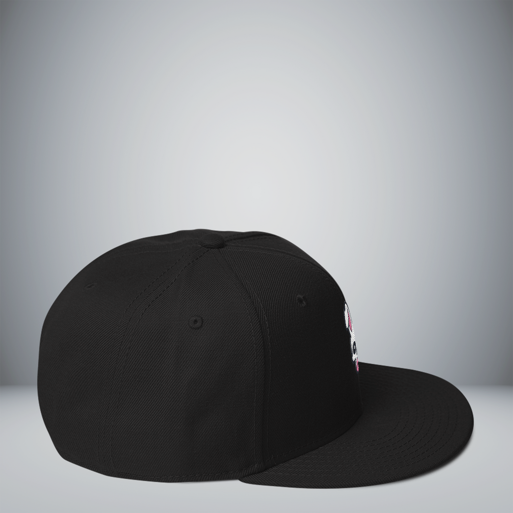 Snapback Hat