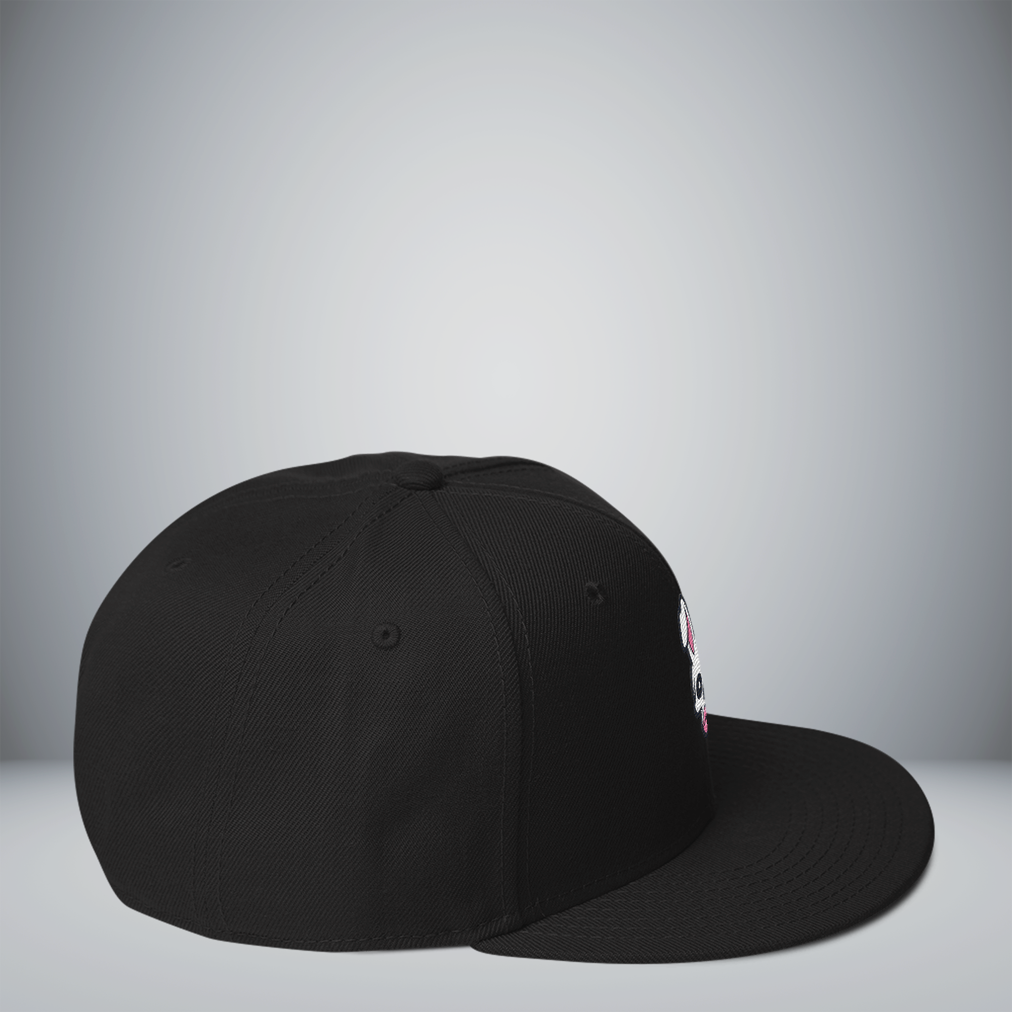 Snapback Hat