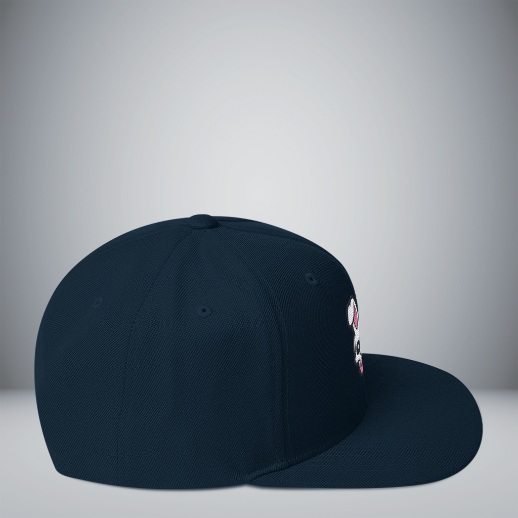 Snapback Hat