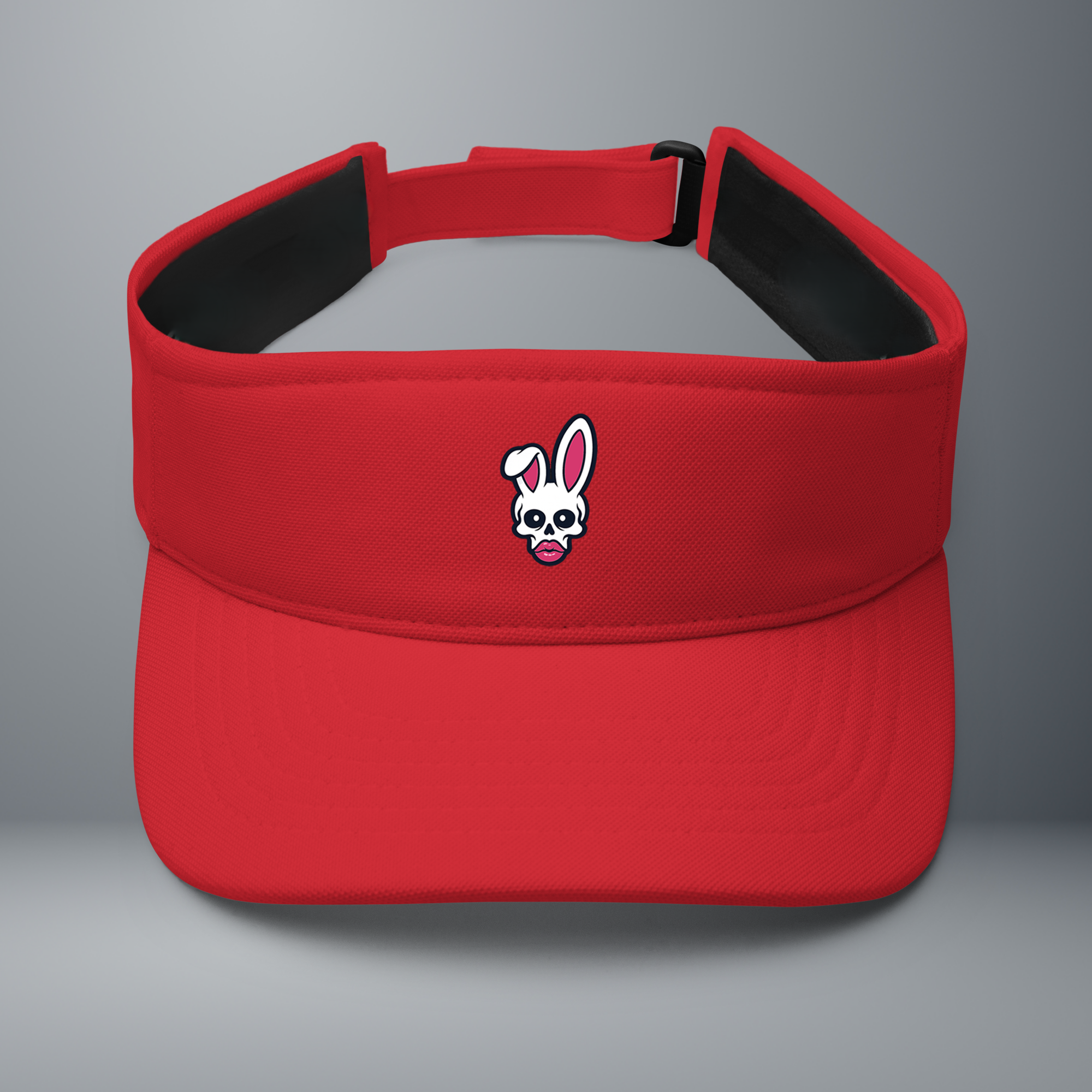 Visor